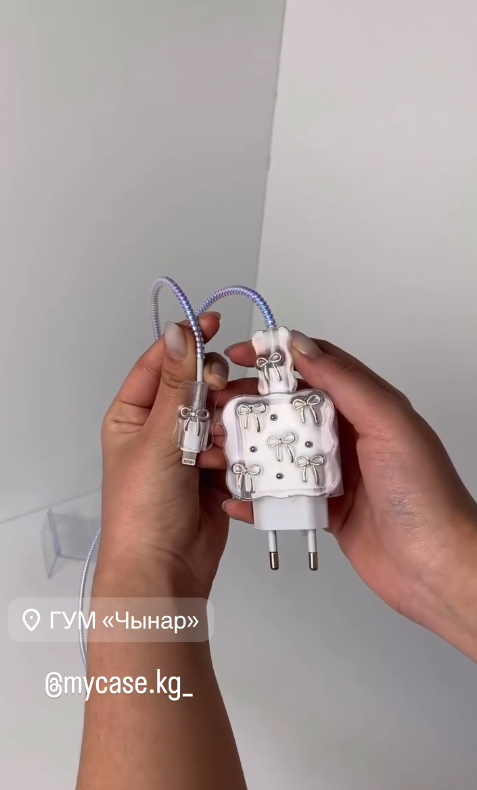  Элегантные чехлы для защиты вашего ₩