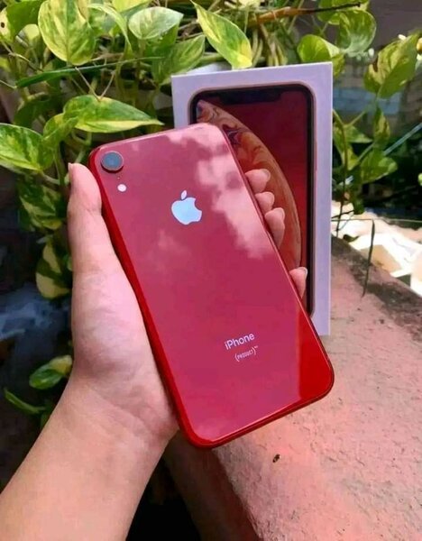iPhone xr