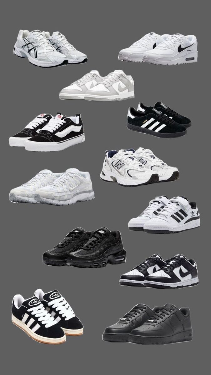 Basket campus et air nike