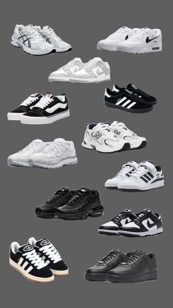 Basket campus et air nike