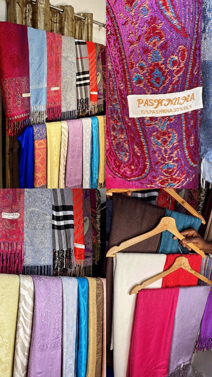 Pashmina Écharpes Élégantes