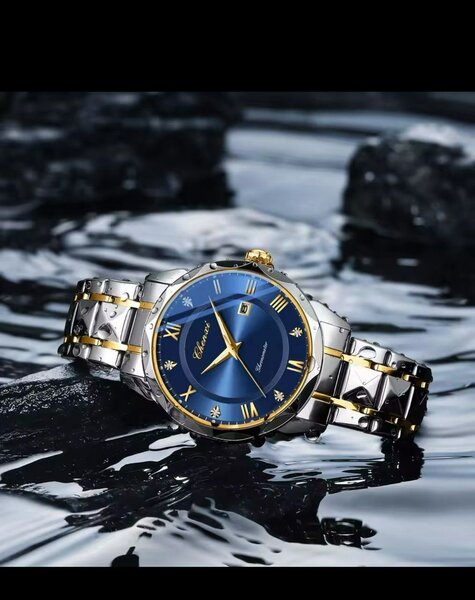 Montre de luxe inoxydable