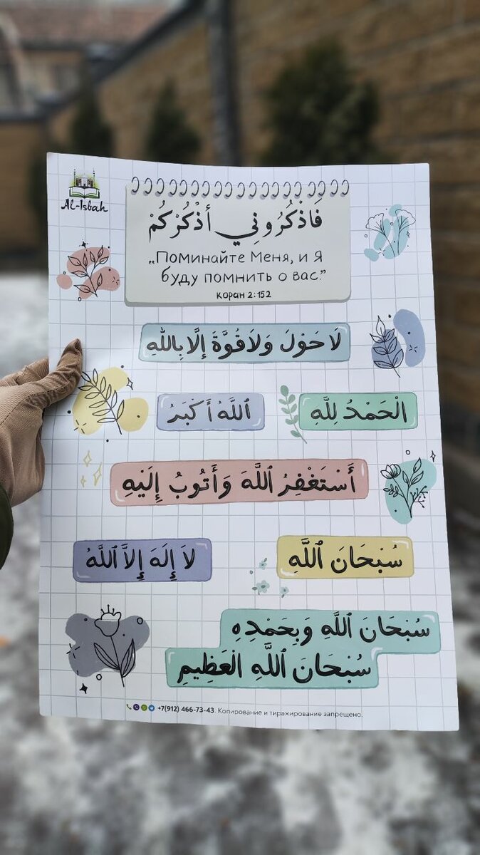 Плакаты настенные