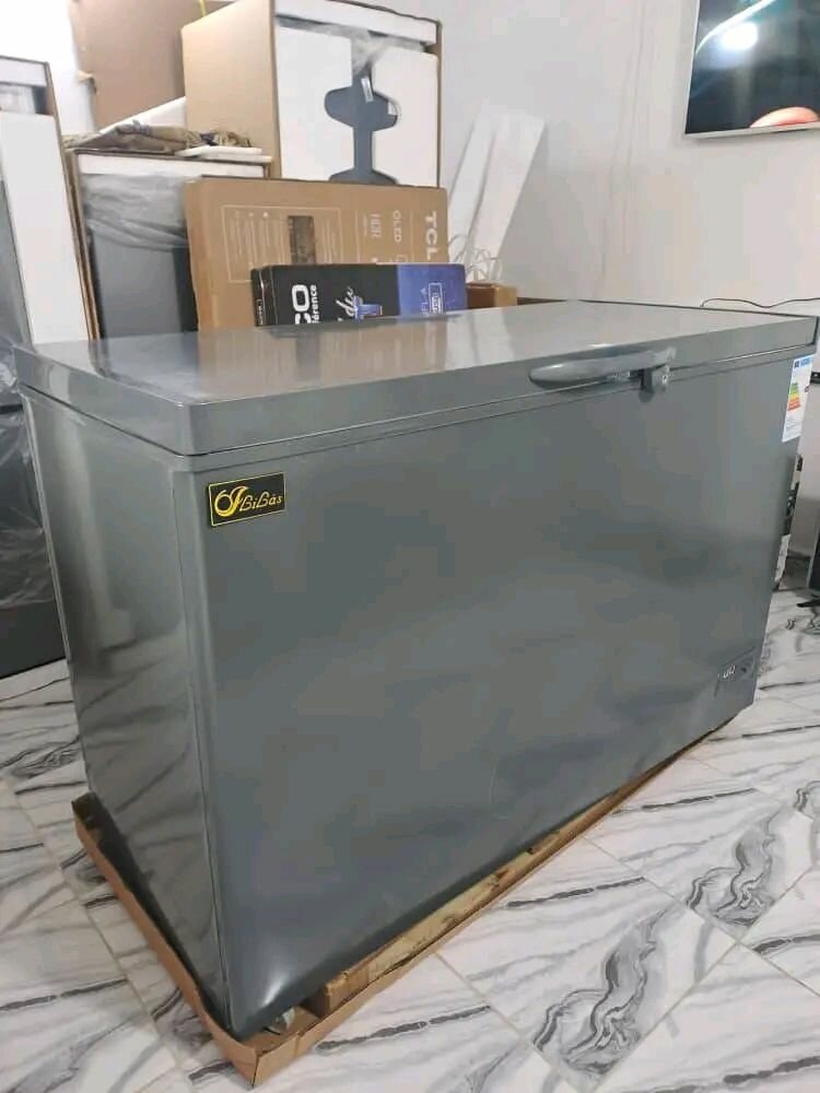 Congélateur coffre grande capacité