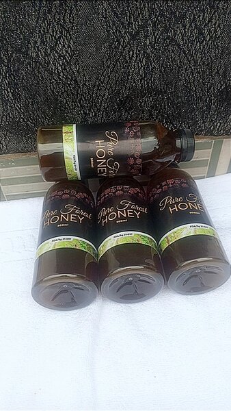 Pure Forest honey