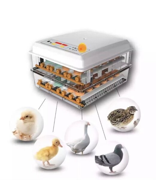 Incubateur d'œufs automatique