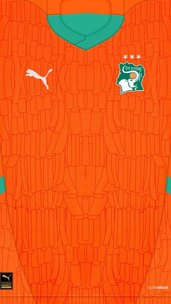 Maillot ivoirien version pro