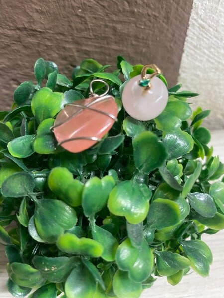 Montre élégante papillon