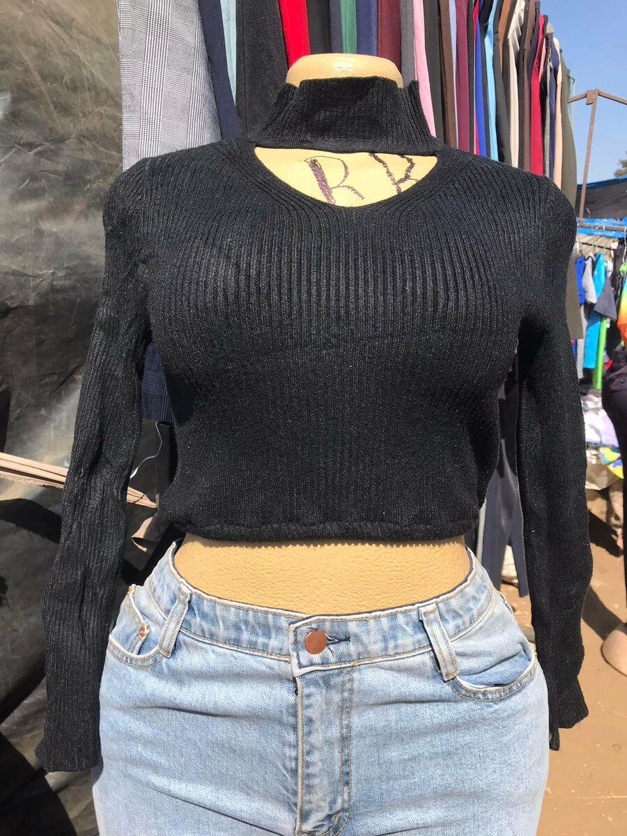 cropped polenecks readily available