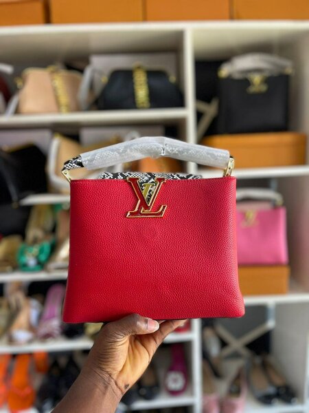 LV Bags for Ladies