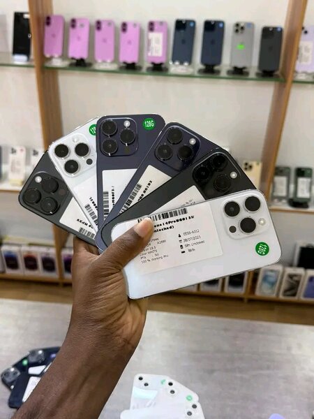 iPhone 13 Pro Max variés