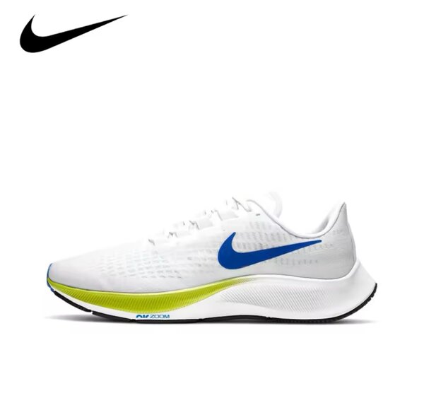 Nike Pagsus 40