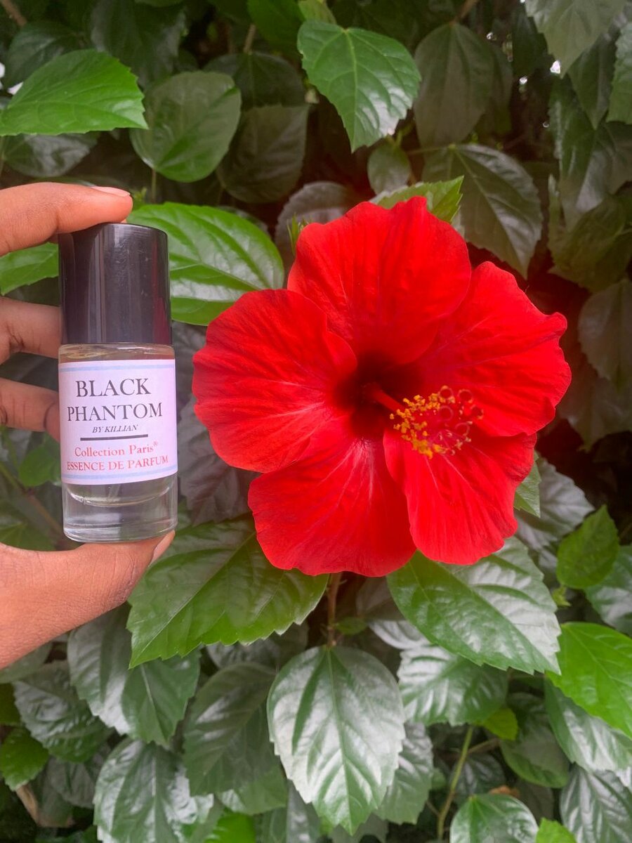 Essence de parfum sans mélange