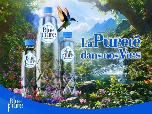 Eau Purifiée BluePure 1,5L x 6