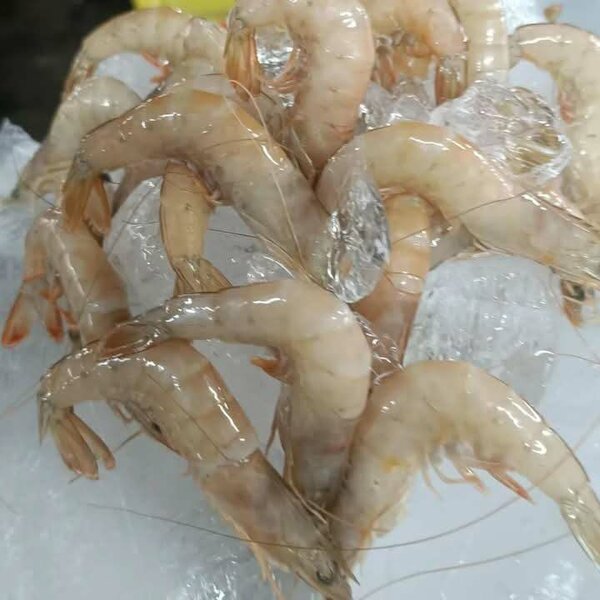 Crevettes,