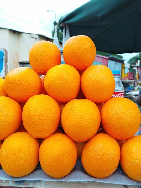 Oranges