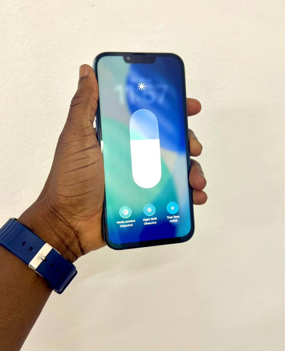 iPhone 13 Pro Max 256 Go Gris