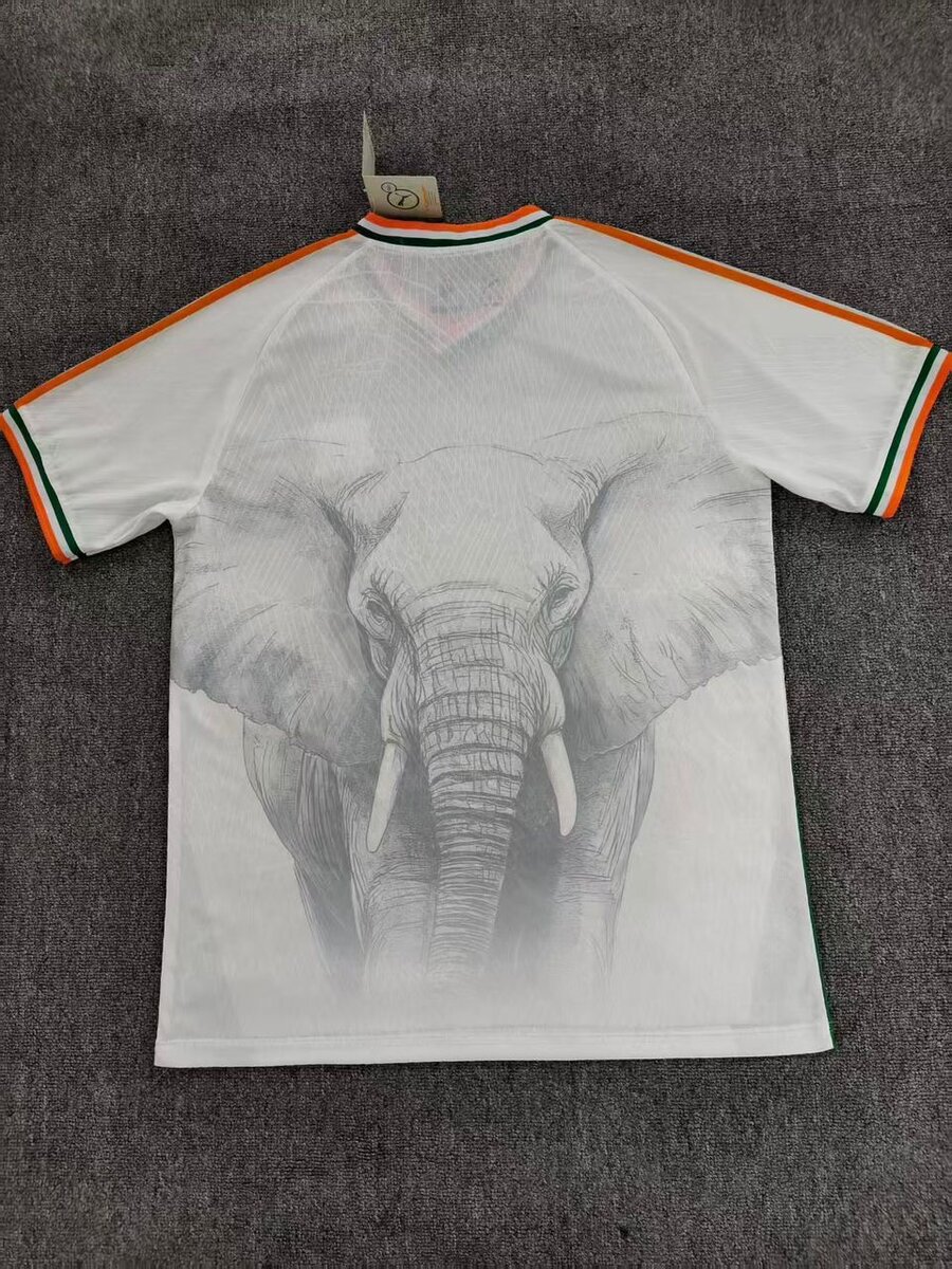 Maillot Éléphant Côte d'Ivoire