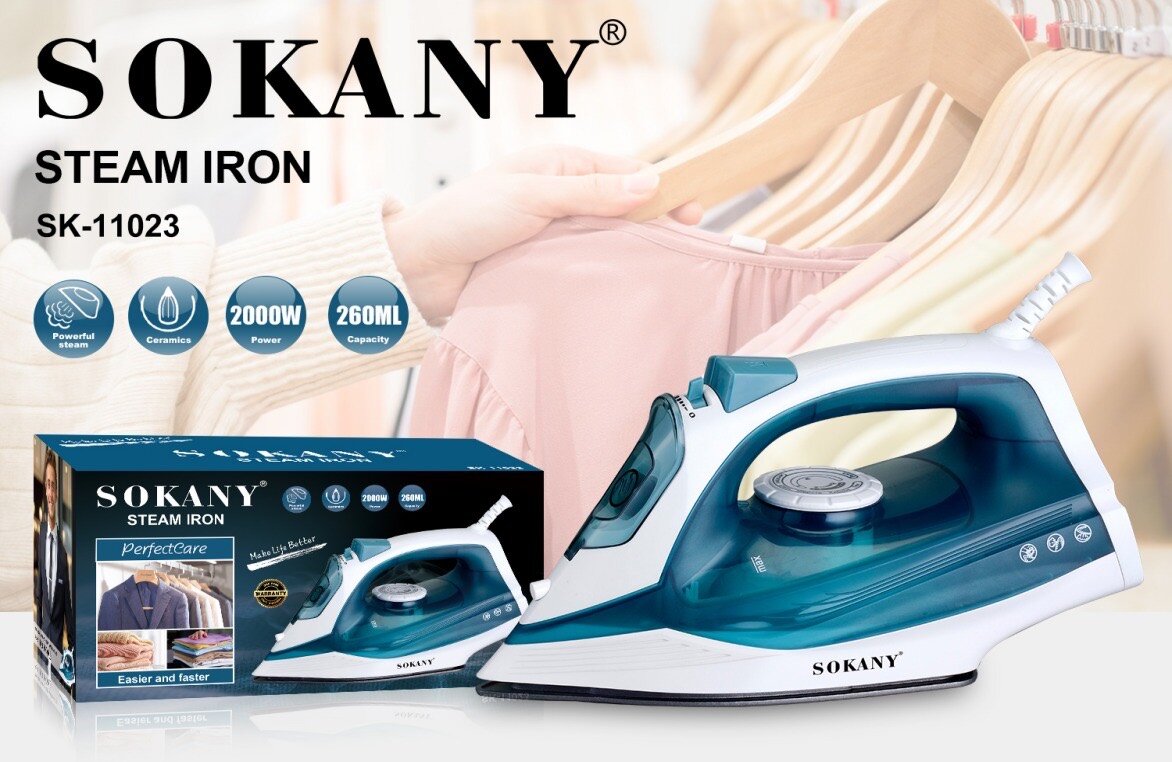 Steam iron