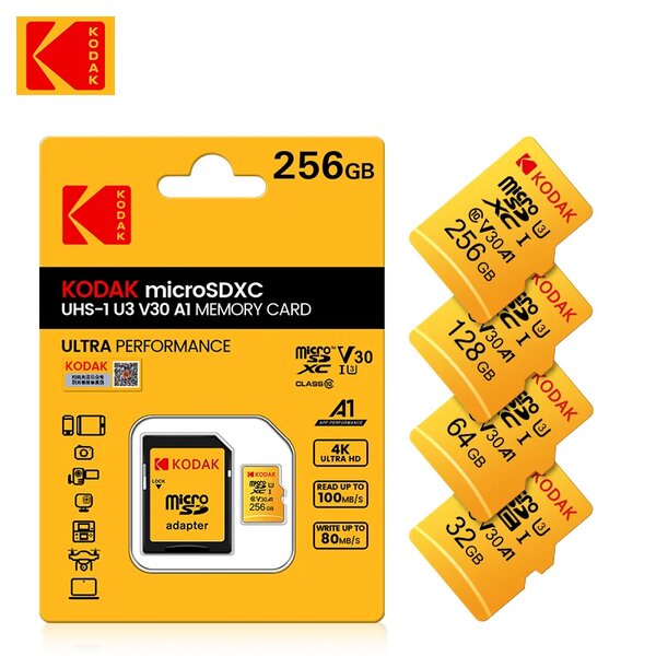 Carte mémoire Kodak 256 giga