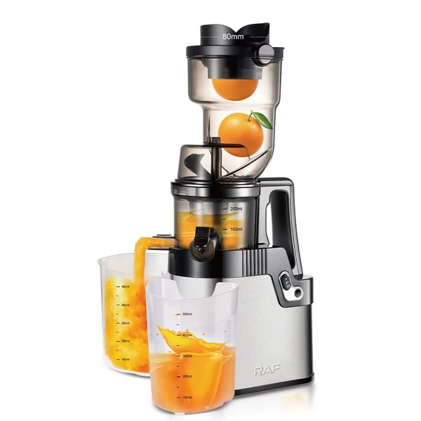 Extracteur de Jus Lent RAF