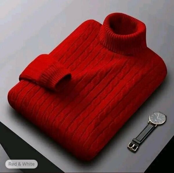 Men Turtle neck shirt