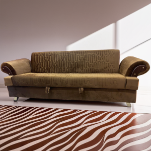 Designer Sofa Cum Beds