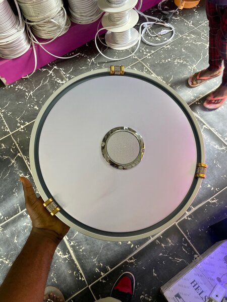 Bluetooth ceiling light warm and white color