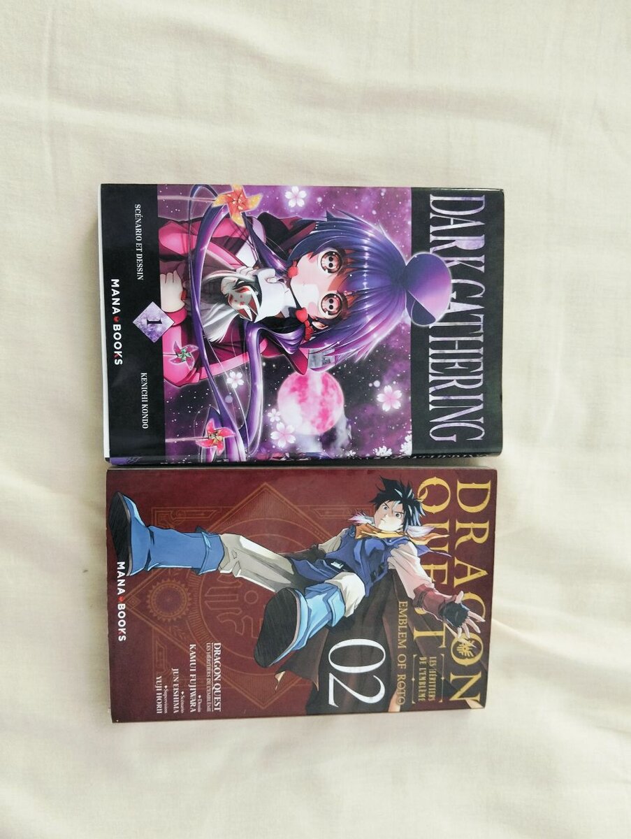 Dark gathering tome 1 dragon quest emblem of roto tome 2