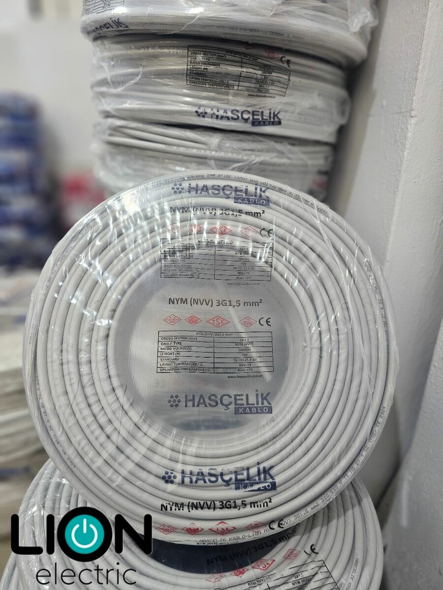 Équipements électriques Lion