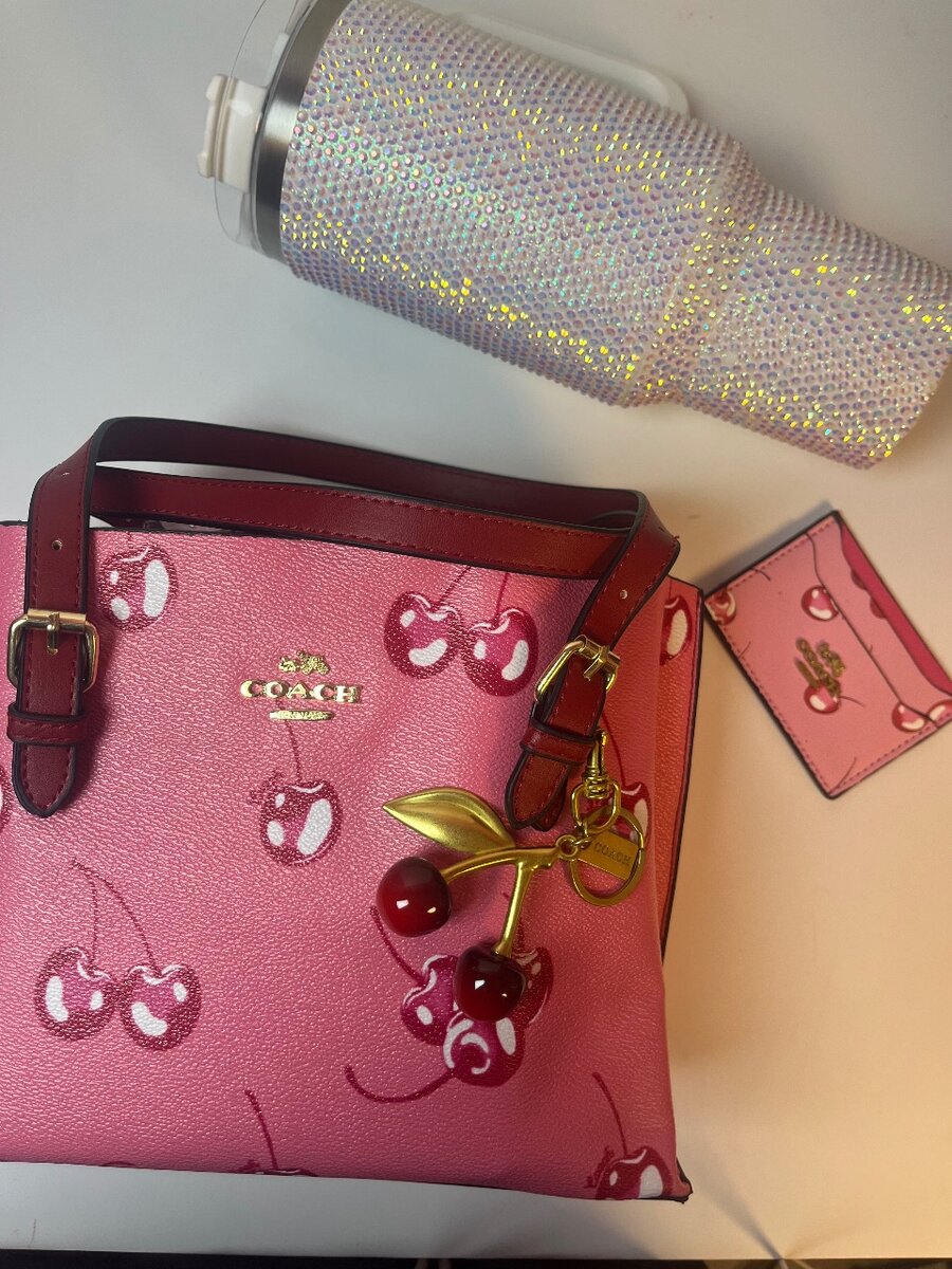 Coach Cherry Print Handbag Set