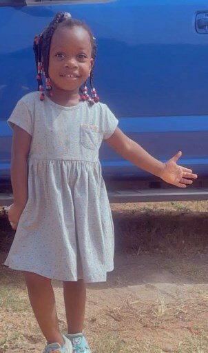 Dress gray with print