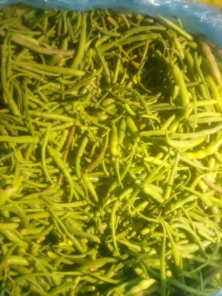 Mongray 1kg