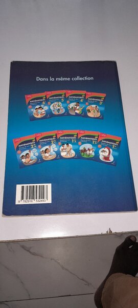 Manuel Mathématiques Tle D