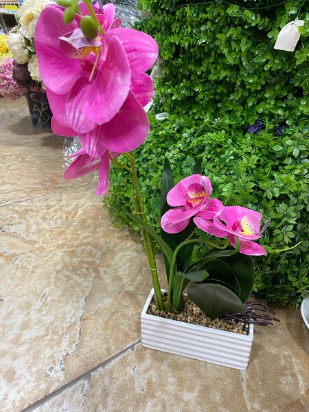 Orchidées Artificielles Décoratives