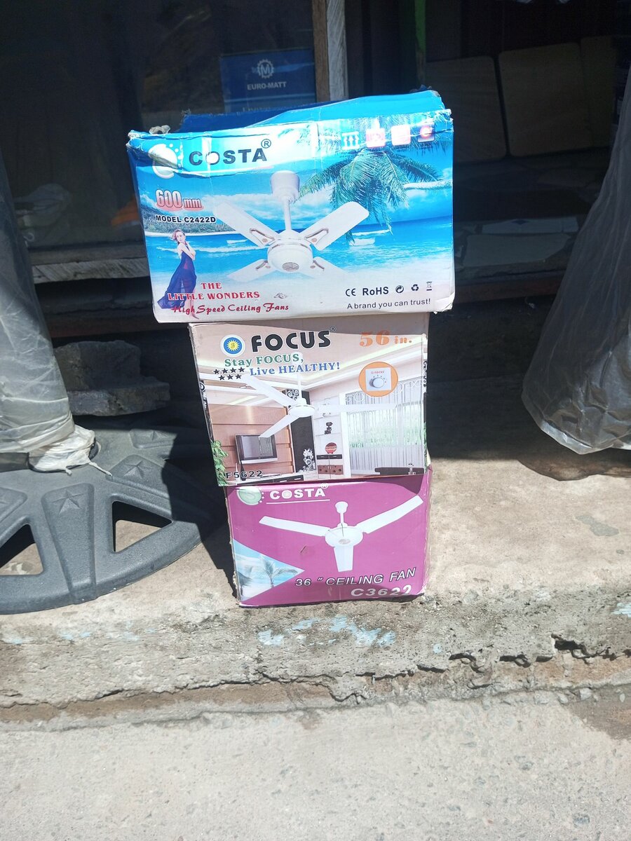 CEILING FAN COASTA/FOCAS