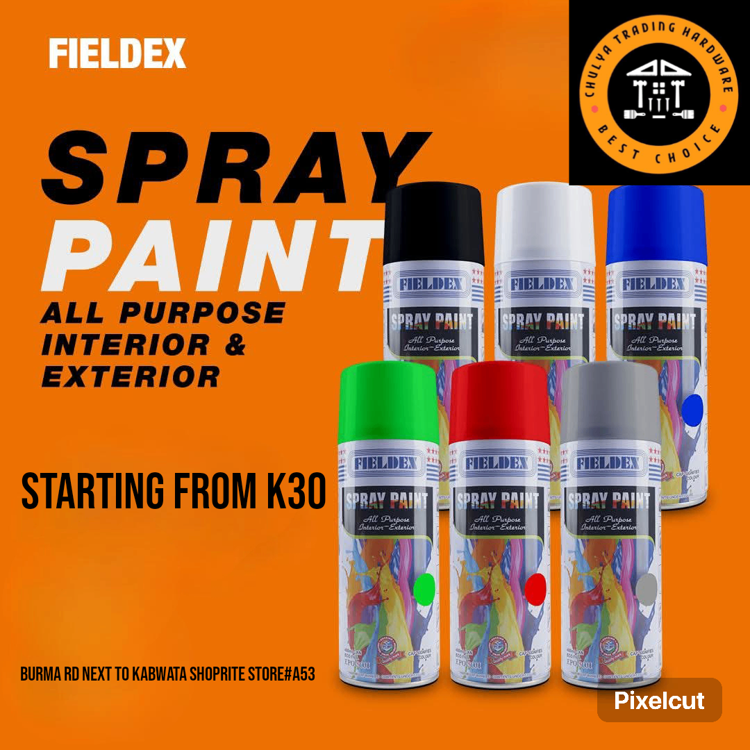 SPRAY PAINT ASSORTED COLORS