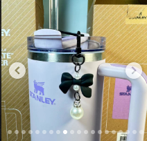 Stanley Cup Accessories