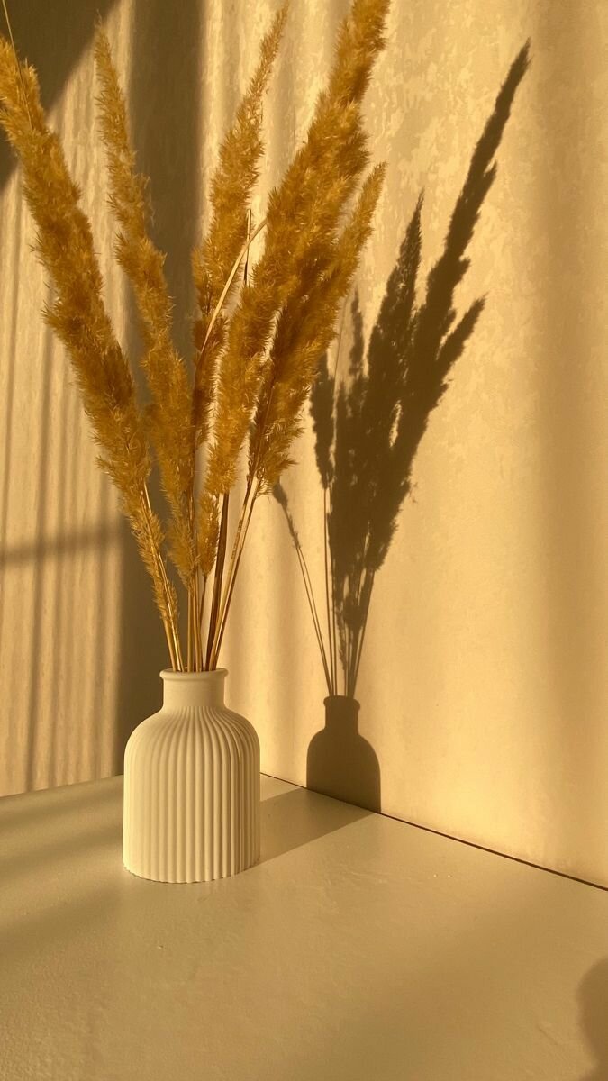 Ribbed vase