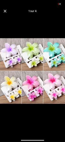 Clips à Cheveux Fleurs