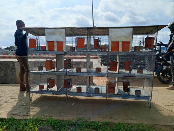 Cages pour Oiseaux Empilables