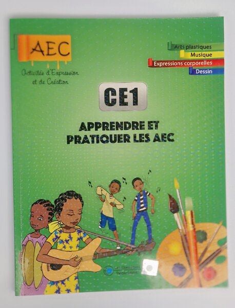 Livre CE1 AEC Activités