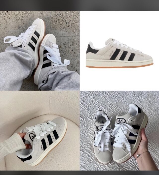 Basket adidas campus authentique dans carton