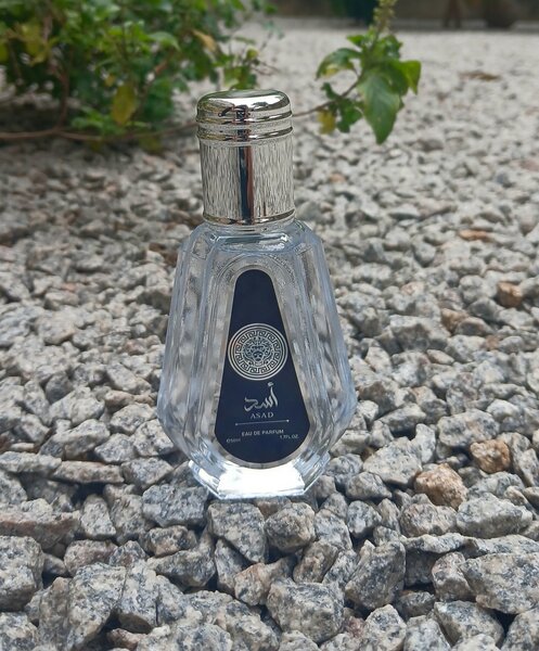 Parfum Asad Édition Luxe
