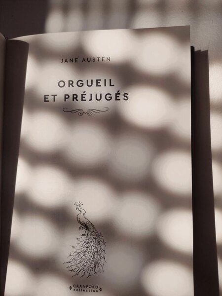 Orgueil et Préjugés - Ebook