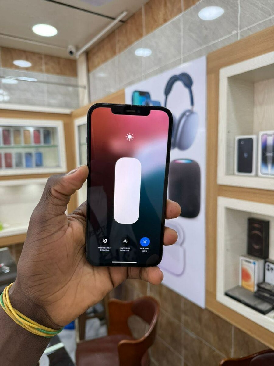 Iphone 12 pro max 256 Go sans