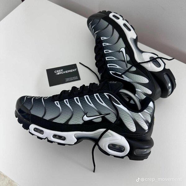 Baskets Air Max TN stylées