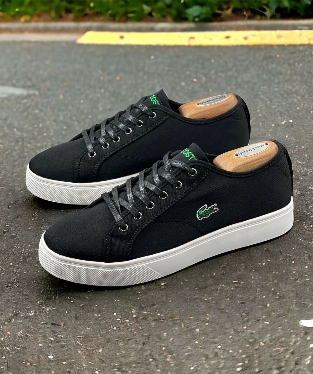 Mens Lacoste shoe