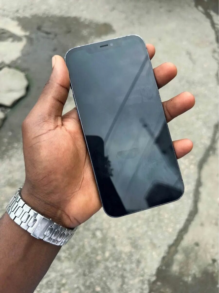 iPhone 12 Pro Max - Bleu