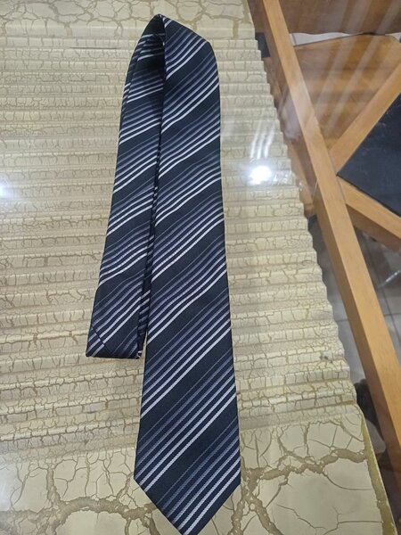 Cravates élégantes pour hommes